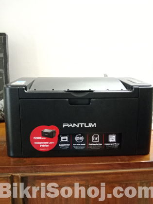 Pantum P2500 Single Function Mono Laser Printer